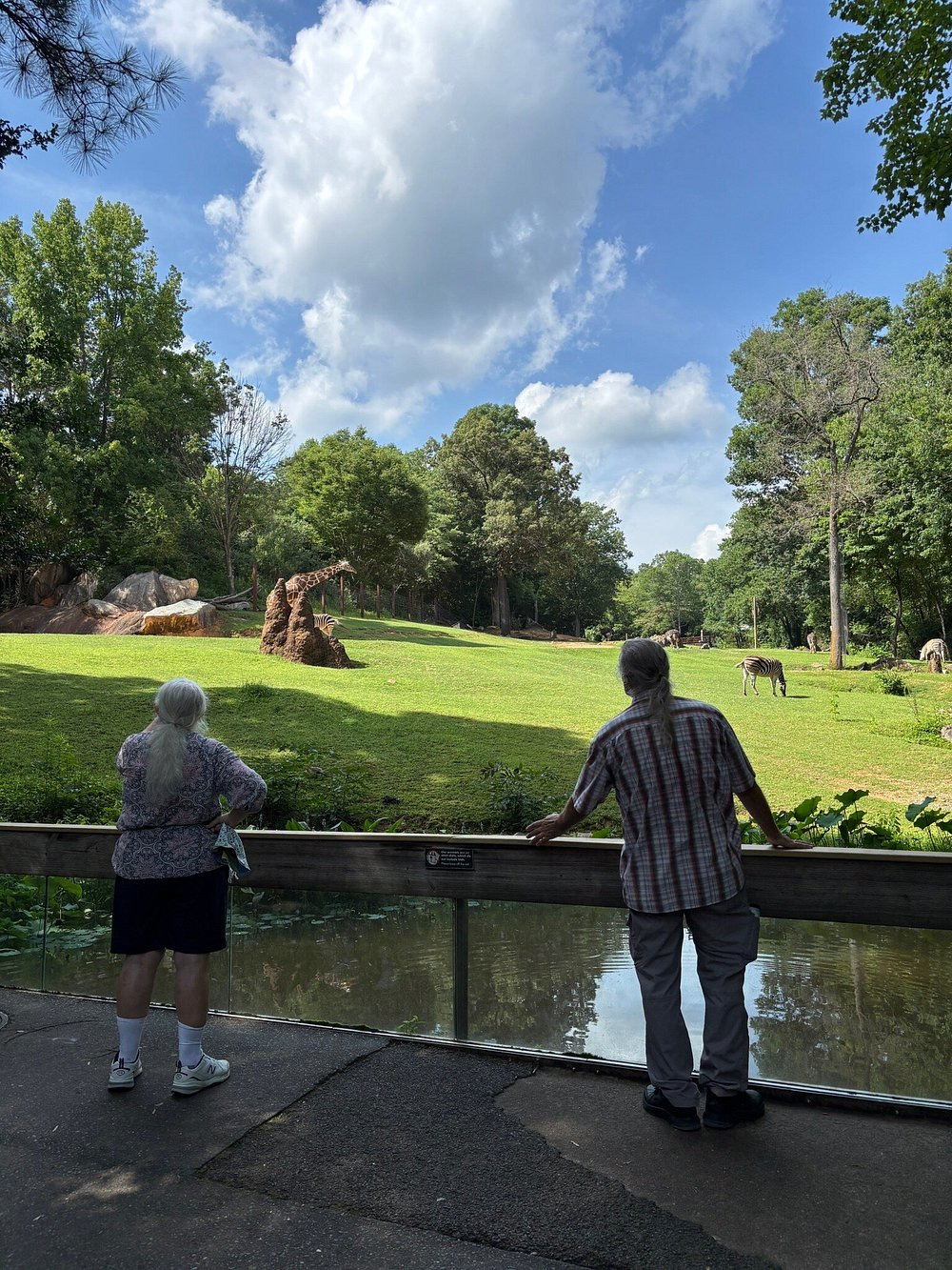 세계에서-가장-큰-사파리-동물원---미국-NC-Zoo-7-이미지