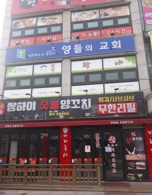 어질어질한-어린양들-간판-0-이미지