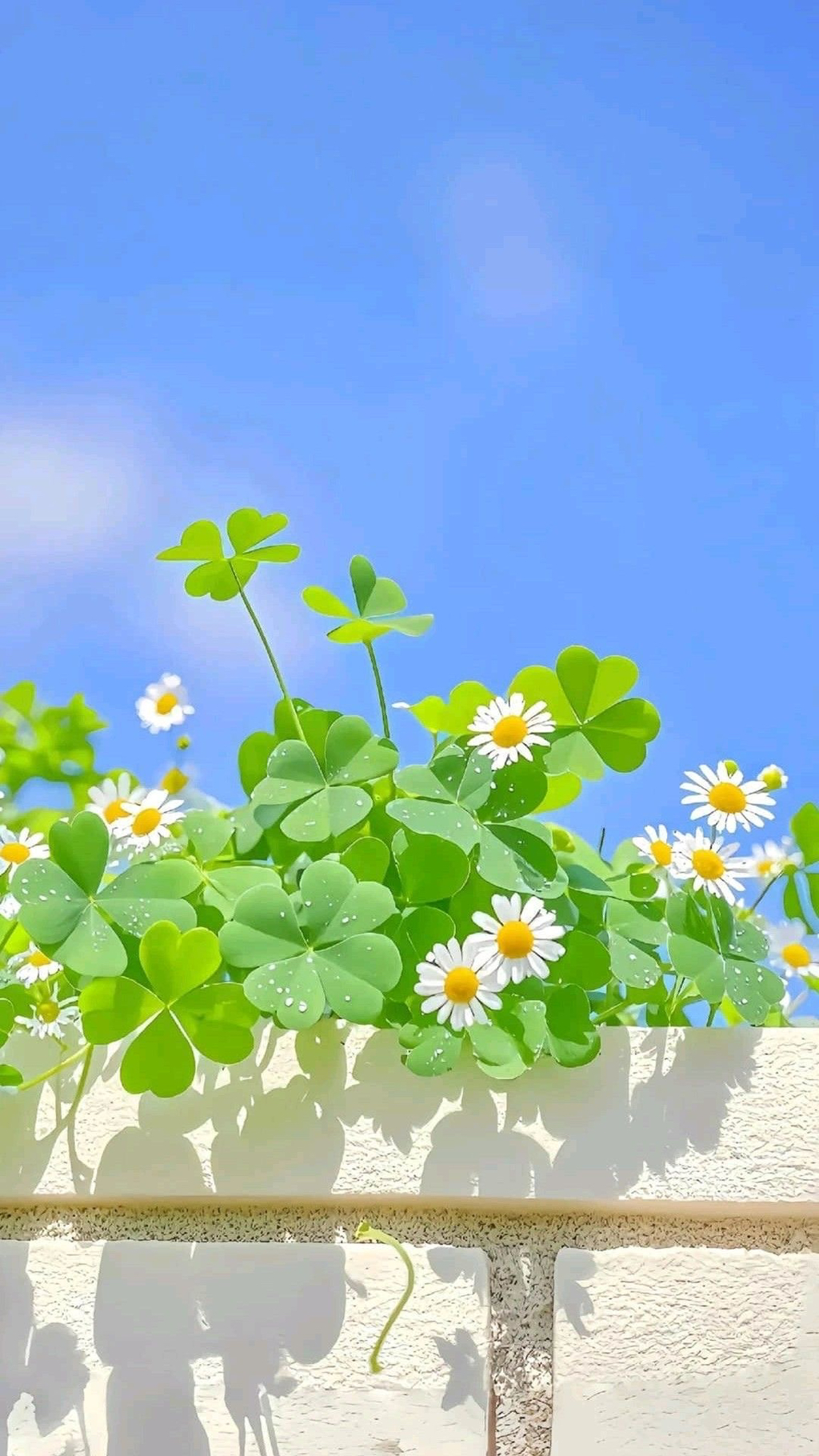 여름이-올랑말랑-직전의-봄에-쓰기-좋은-배경화면-모음-☀️🌸🌿-8-이미지