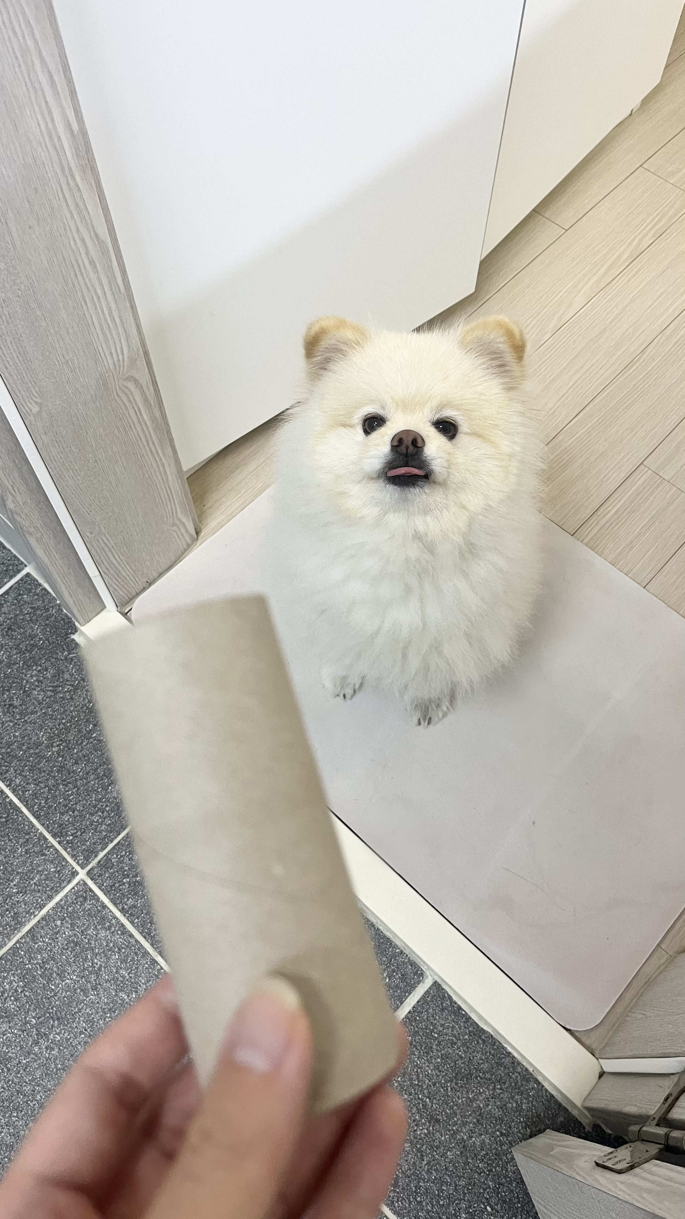 화장실-매니절-부른적-없다고...twt-6-이미지