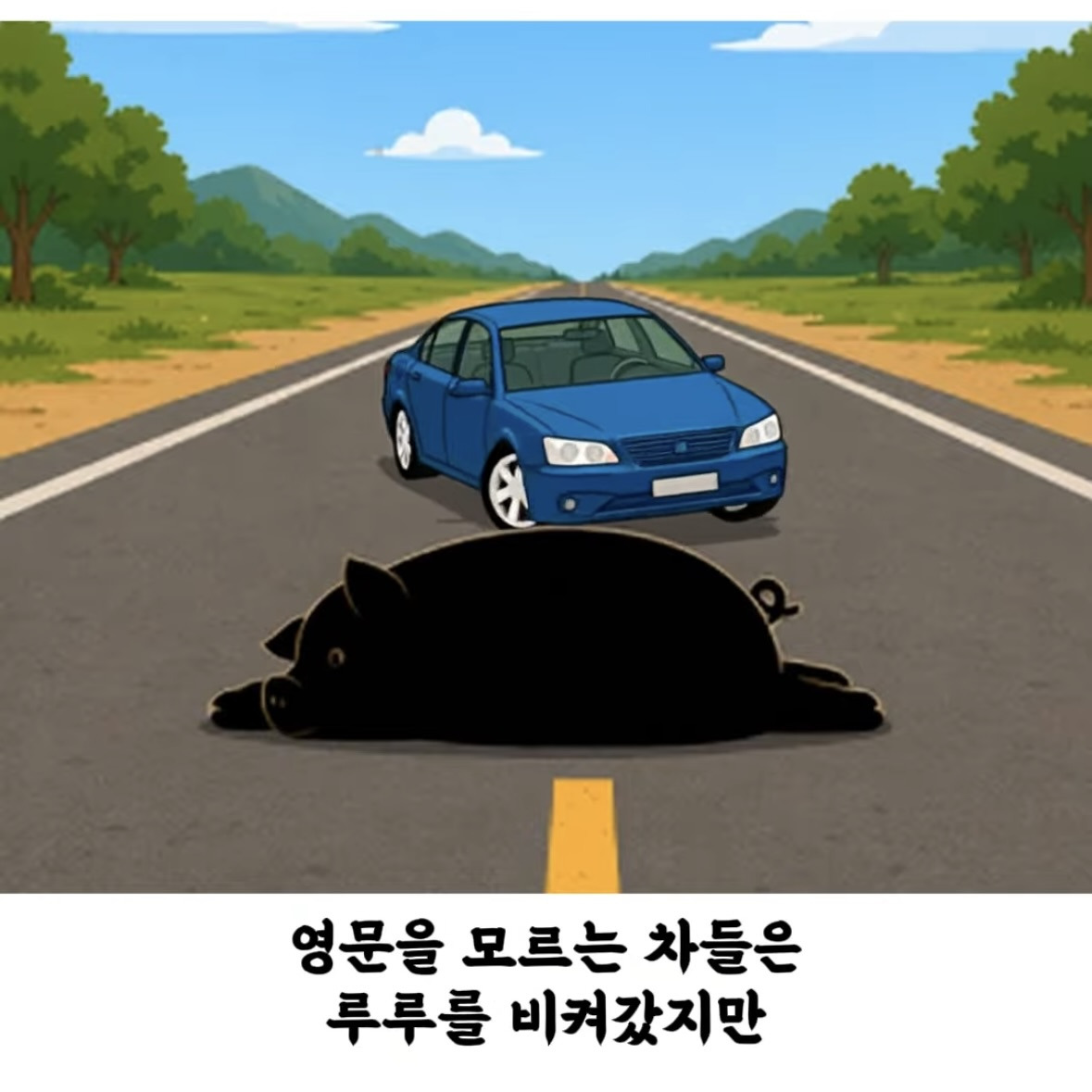 돼지-덕분에-심장마비에서-기적적으로-생존한-여자-8-이미지