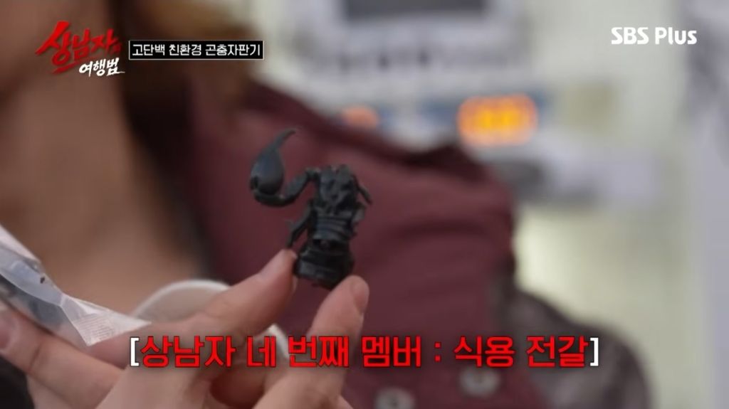 상남자의여행법에서-대성보고-눈물흘리는-일본-소녀팬-6-이미지