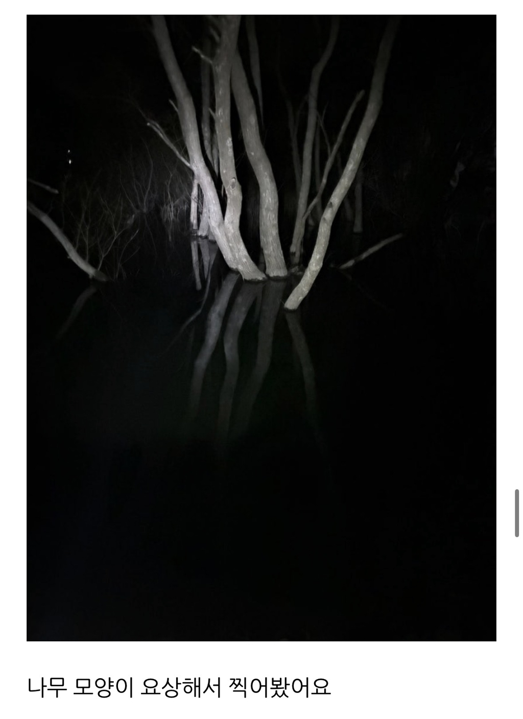 살목지-다녀온-후기(+살목지-물-떠왔어요)-13-이미지