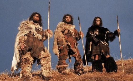 개가-사람을-좋아하게-된-찐-이유-7-이미지