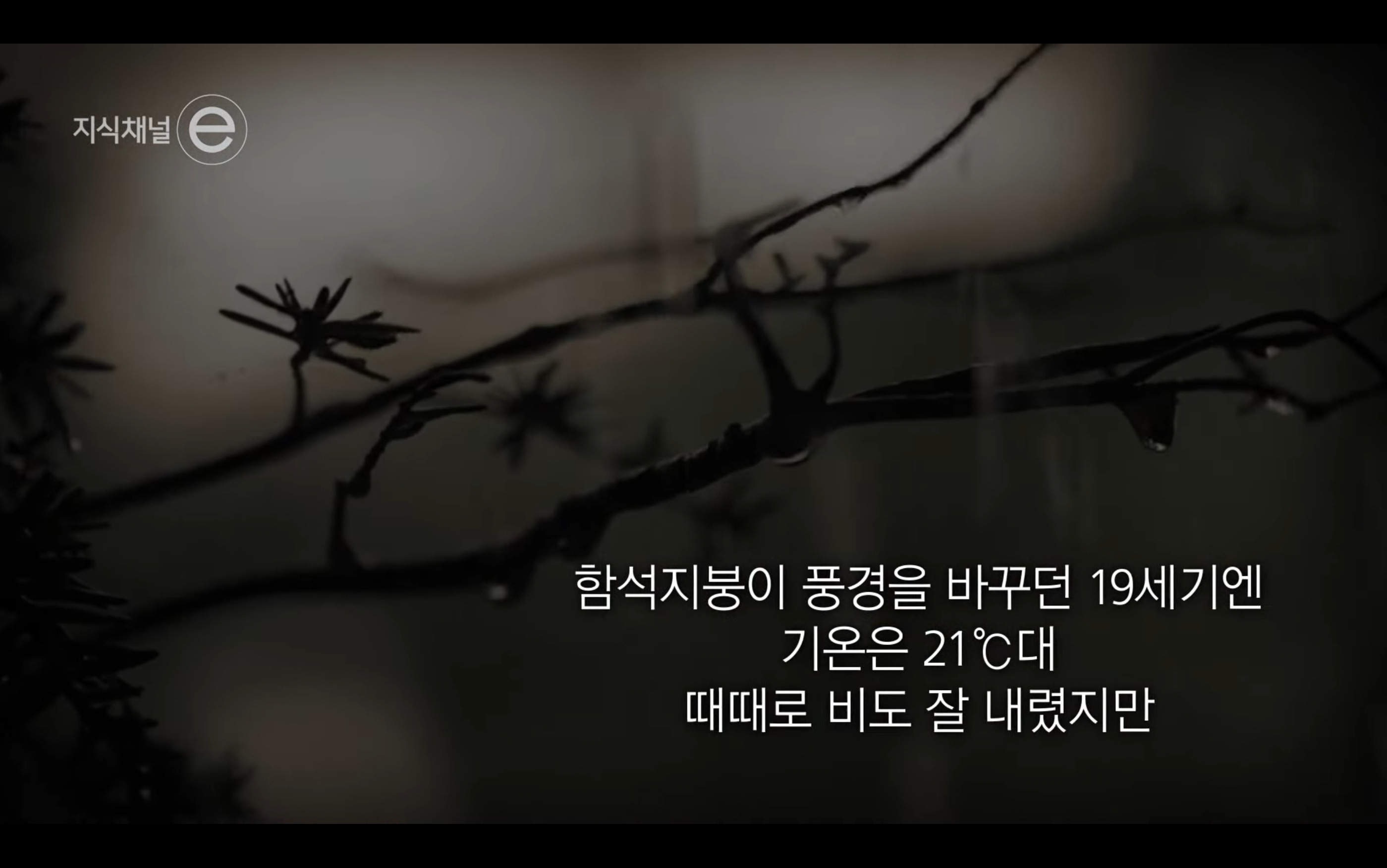 유럽-거리미관-좋은게-꼭-장점만은-아님-4-이미지