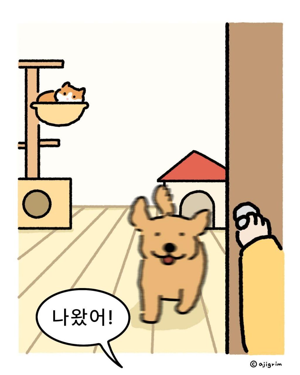 강아지식-환영-vs-고양이식-환영-0-이미지