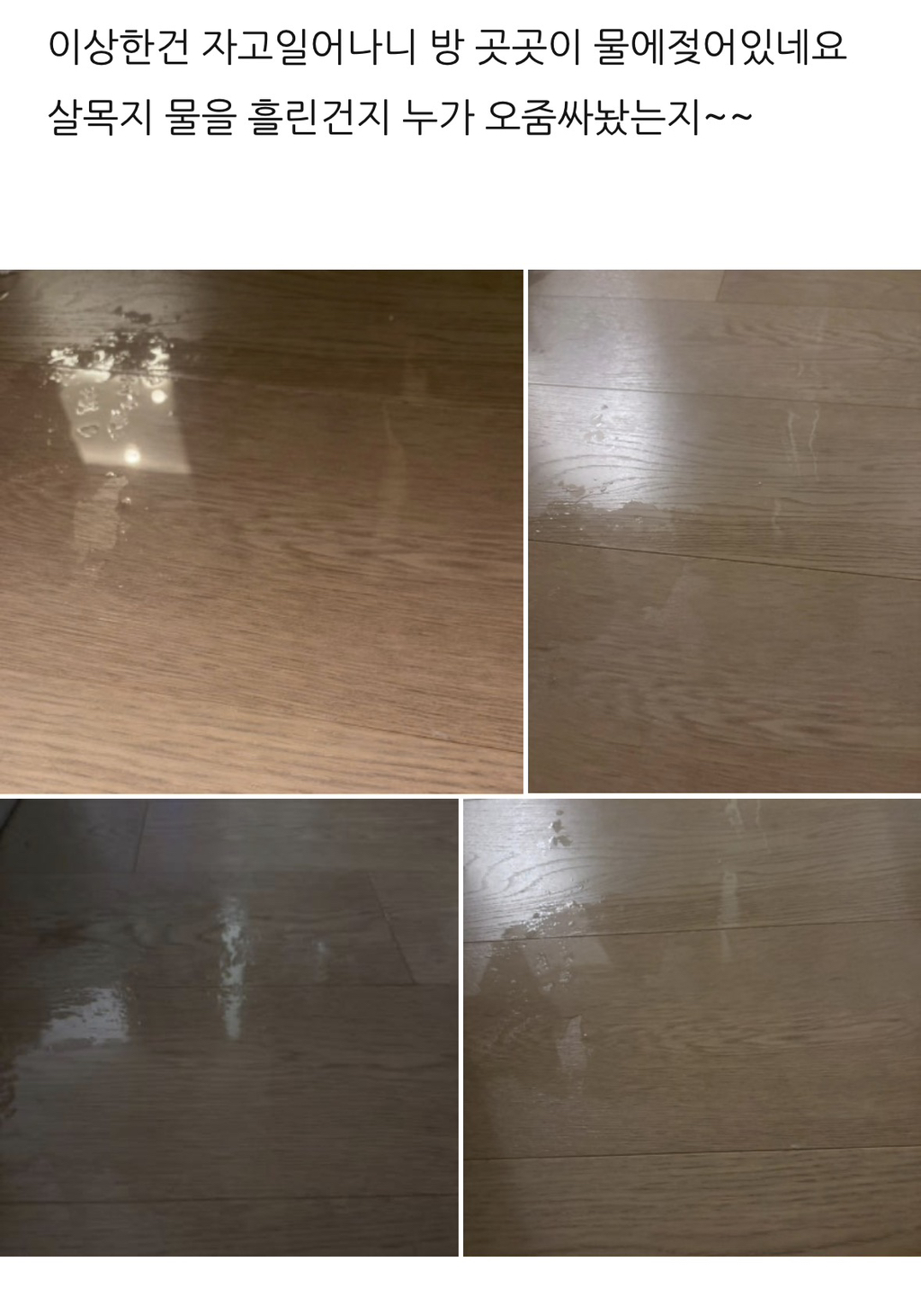 살목지-다녀온-후기(+살목지-물-떠왔어요)-22-이미지