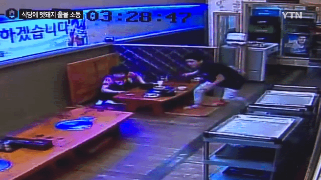 감자탕-먹다가-멧돼지가-처들어옴-4-이미지