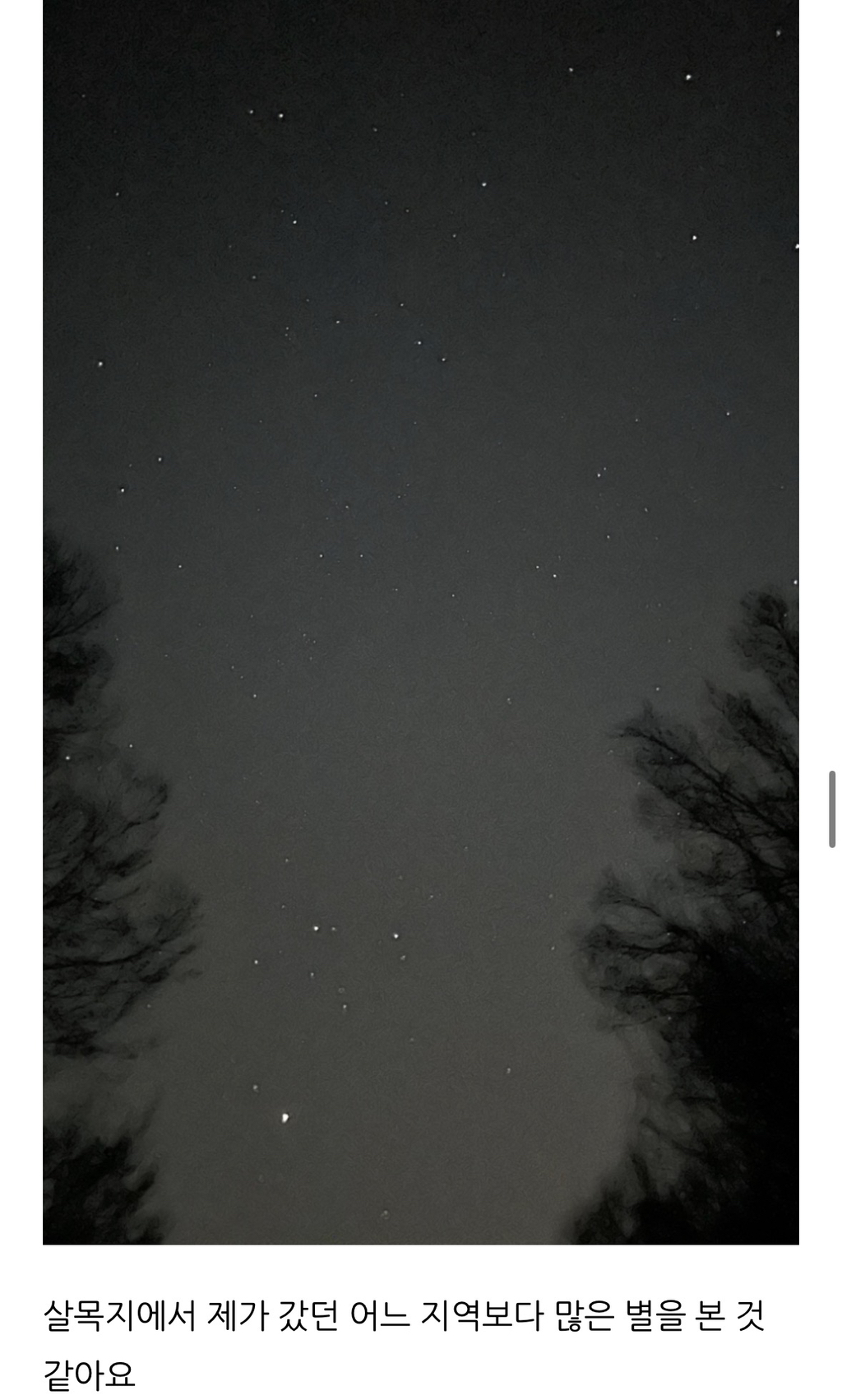 살목지-다녀온-후기(+살목지-물-떠왔어요)-10-이미지