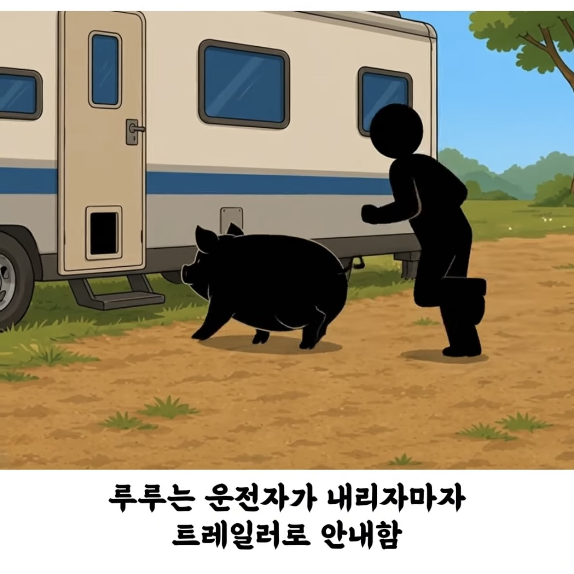 돼지-덕분에-심장마비에서-기적적으로-생존한-여자-11-이미지