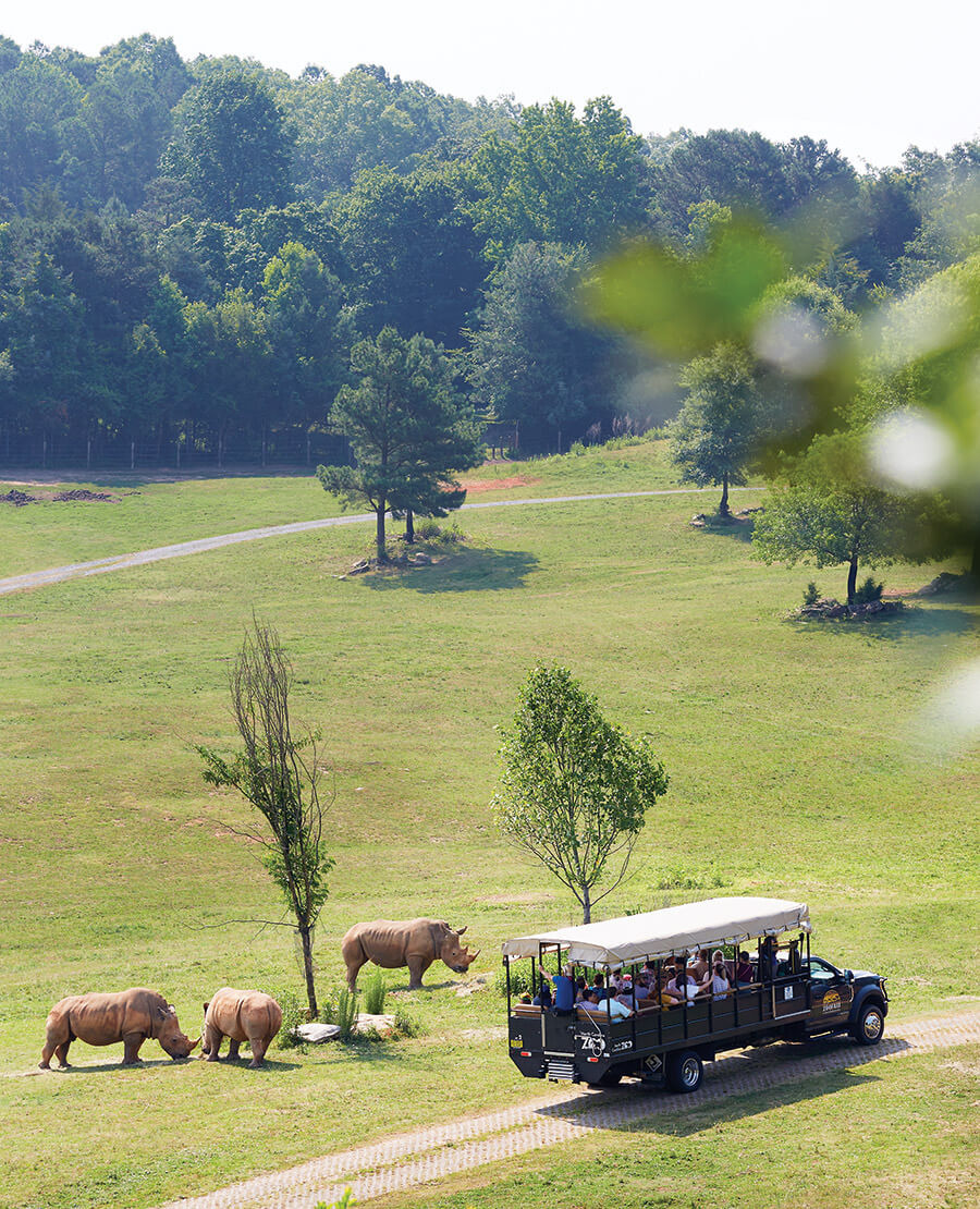 세계에서-가장-큰-사파리-동물원---미국-NC-Zoo-3-이미지