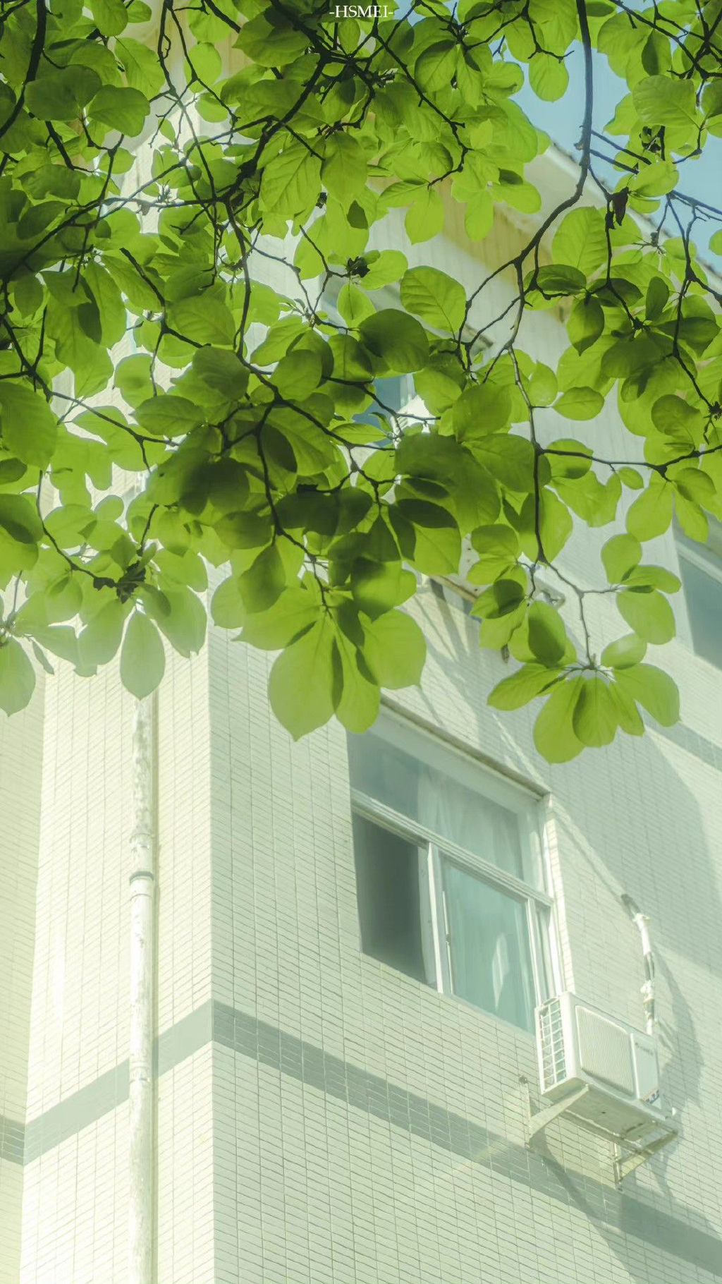 여름이-올랑말랑-직전의-봄에-쓰기-좋은-배경화면-모음-☀️🌸🌿-17-이미지