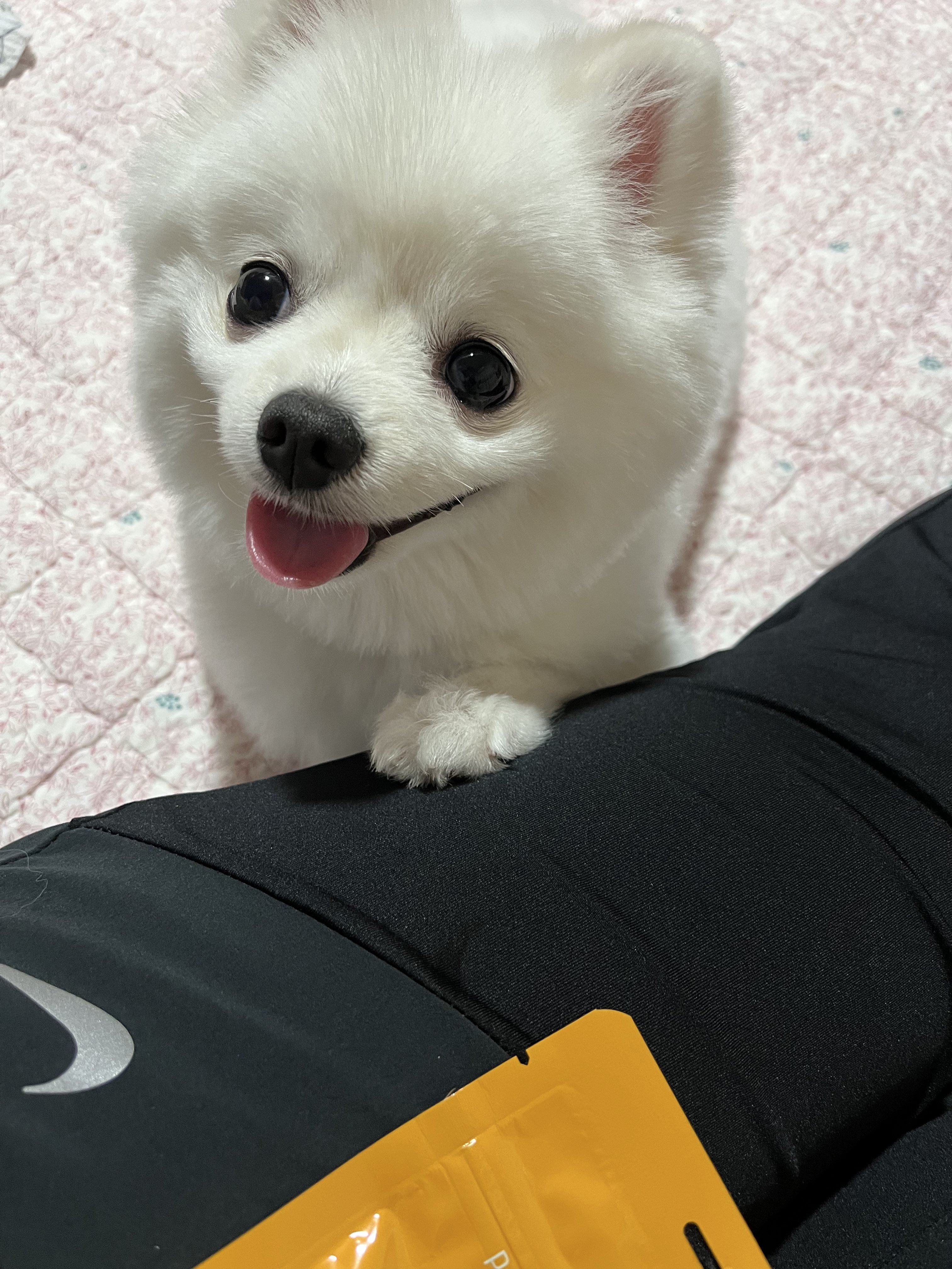 화장실-매니절-부른적-없다고...twt-3-이미지