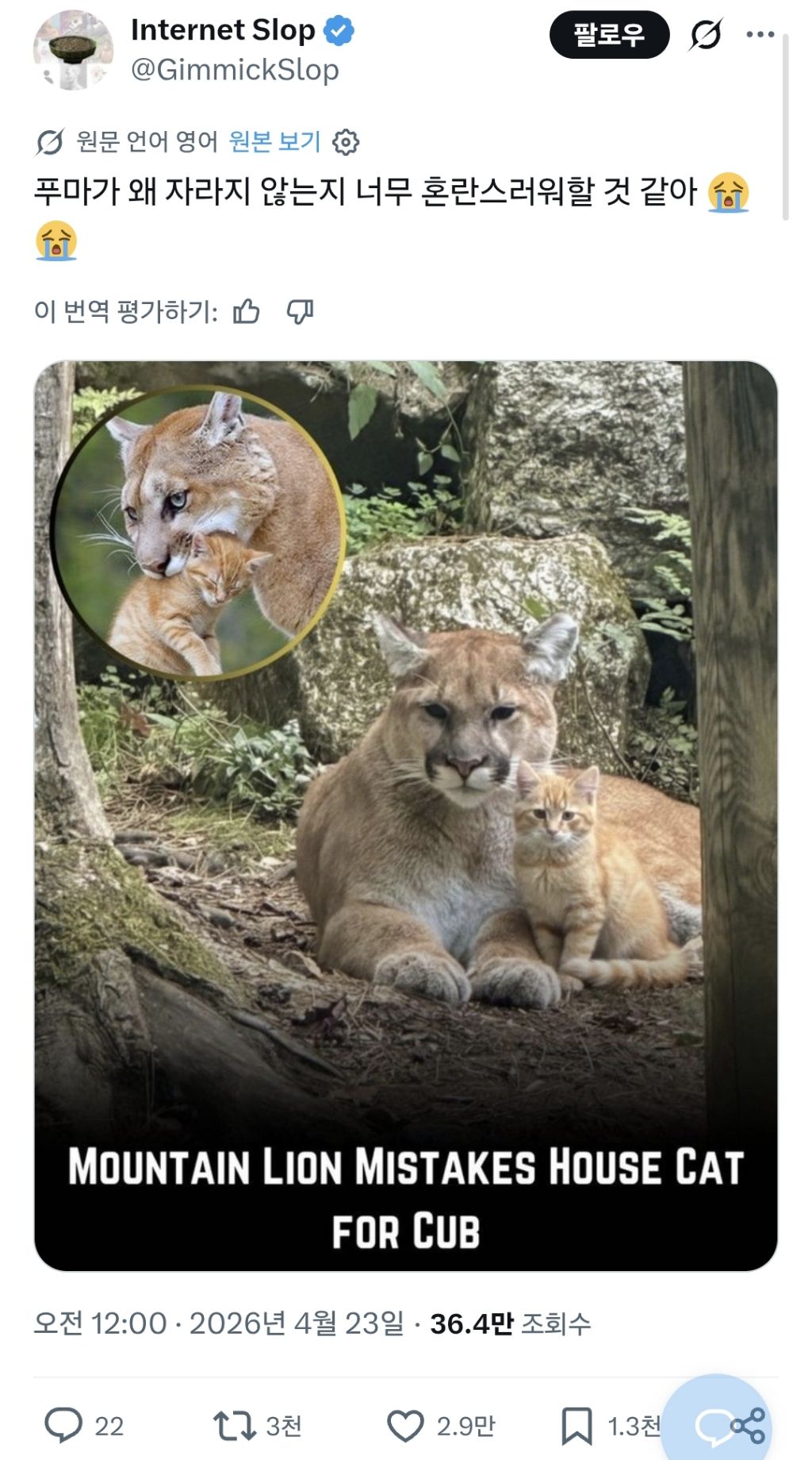 우리-애가-너무-안-커-0-이미지