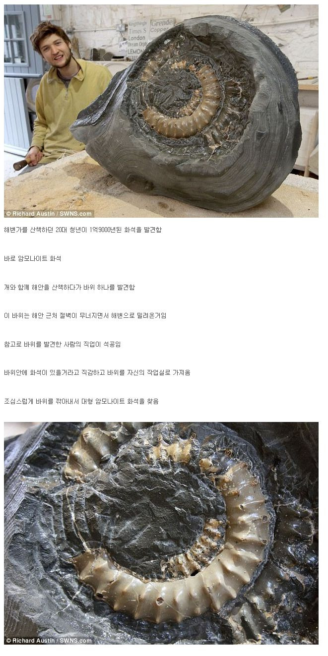 개랑-산책하다-발견한-화석-0-이미지