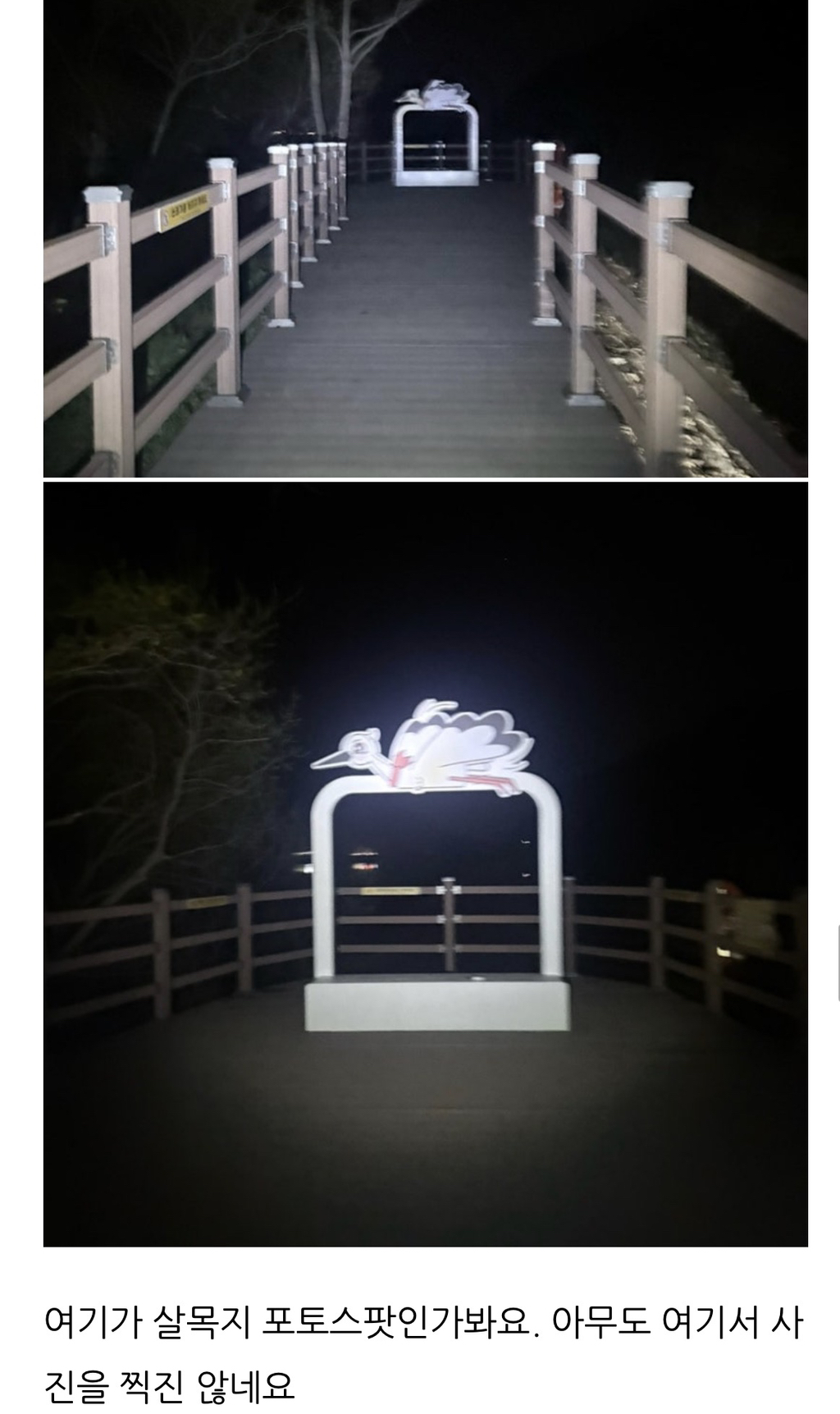 살목지-다녀온-후기(+살목지-물-떠왔어요)-12-이미지