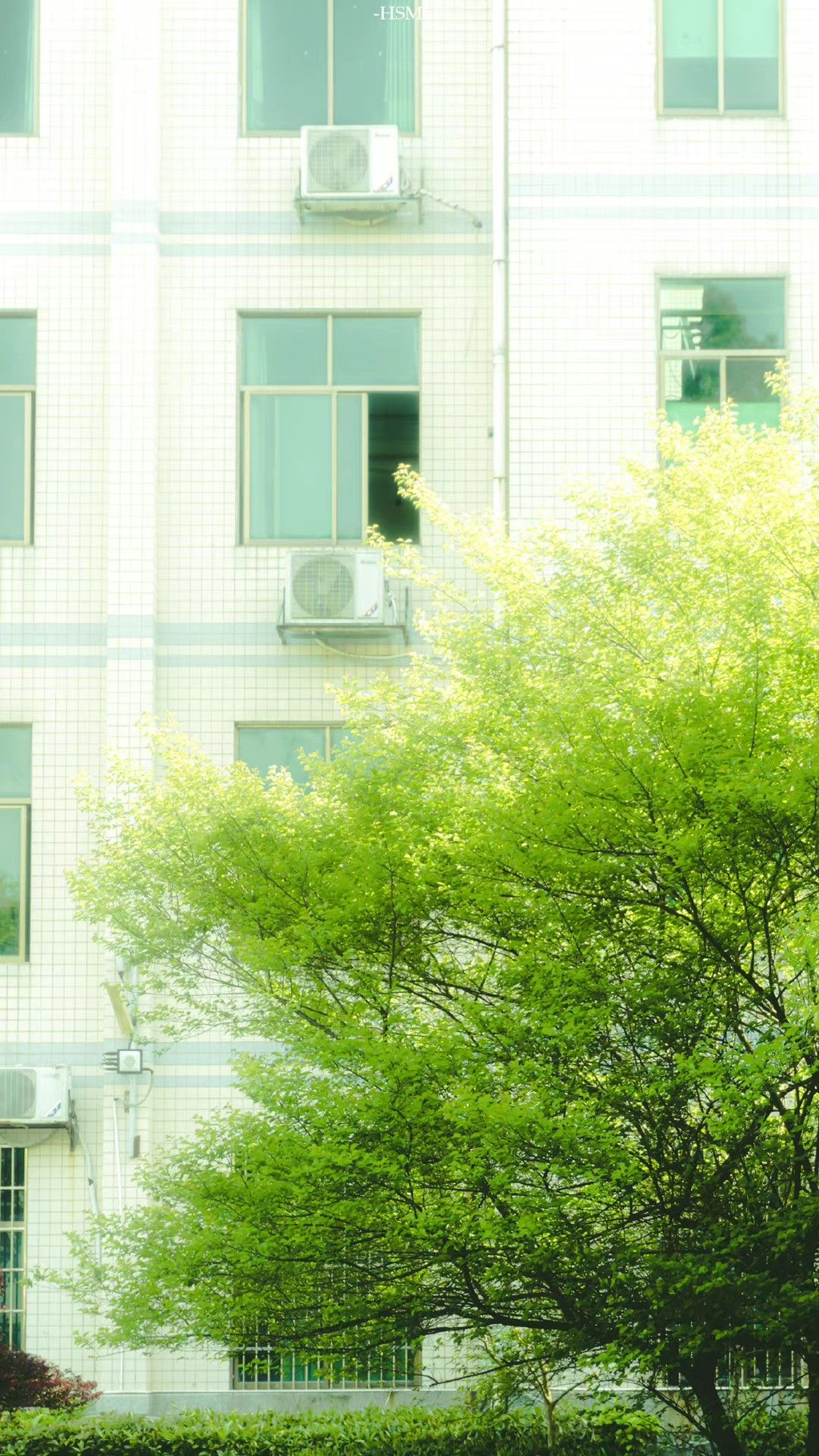 여름이-올랑말랑-직전의-봄에-쓰기-좋은-배경화면-모음-☀️🌸🌿-16-이미지