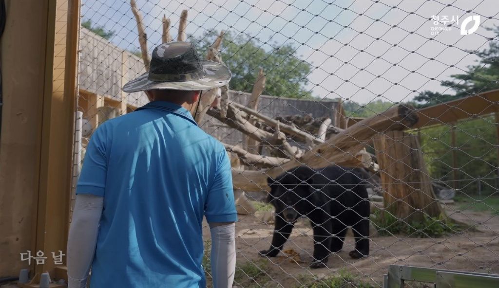 청주동물원-유튜브보는데-뭔-시트콤인줄.jpgif-0-이미지