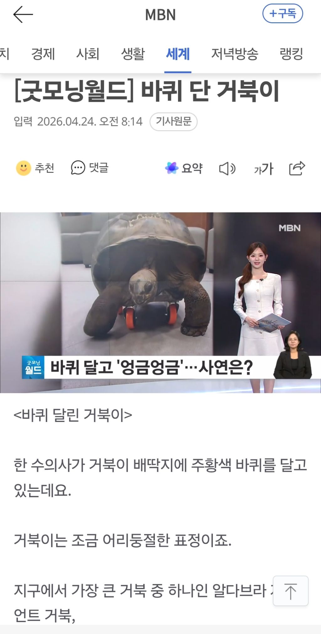 [굿모닝월드]-바퀴-단-거북이-0-이미지