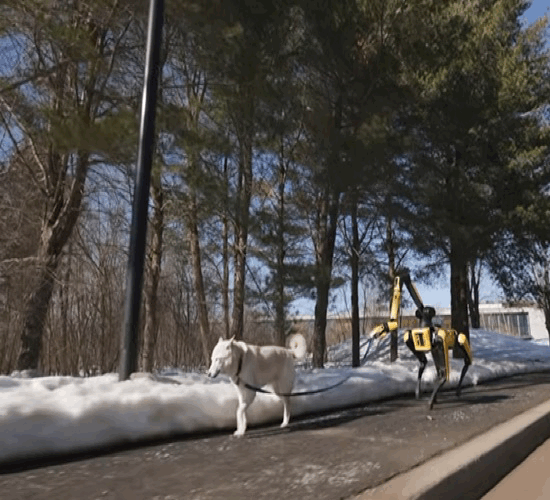 이제-강아지-산책도-AI-로봇이-해줌-0-이미지