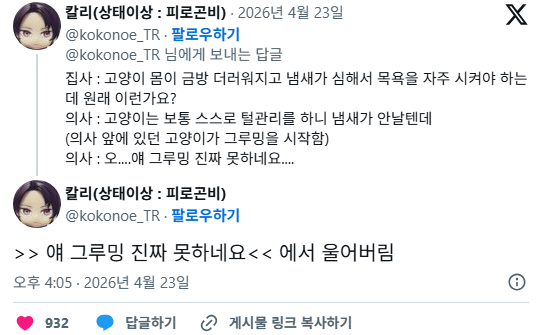 둘째-고양이를-들인-후-첫째가-계속-재채기를-심하게-해요-2-이미지