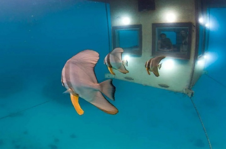 1박에-180만원-수중호텔-4-이미지