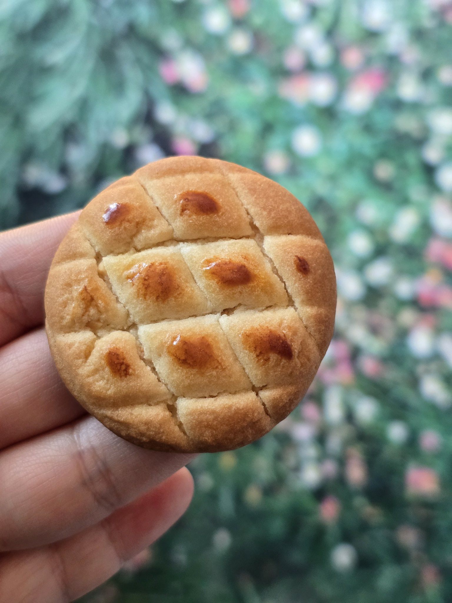 항상-생각하는데-마가렛트는-ㄹㅇ-잘-만든-쿠키임...-0-이미지