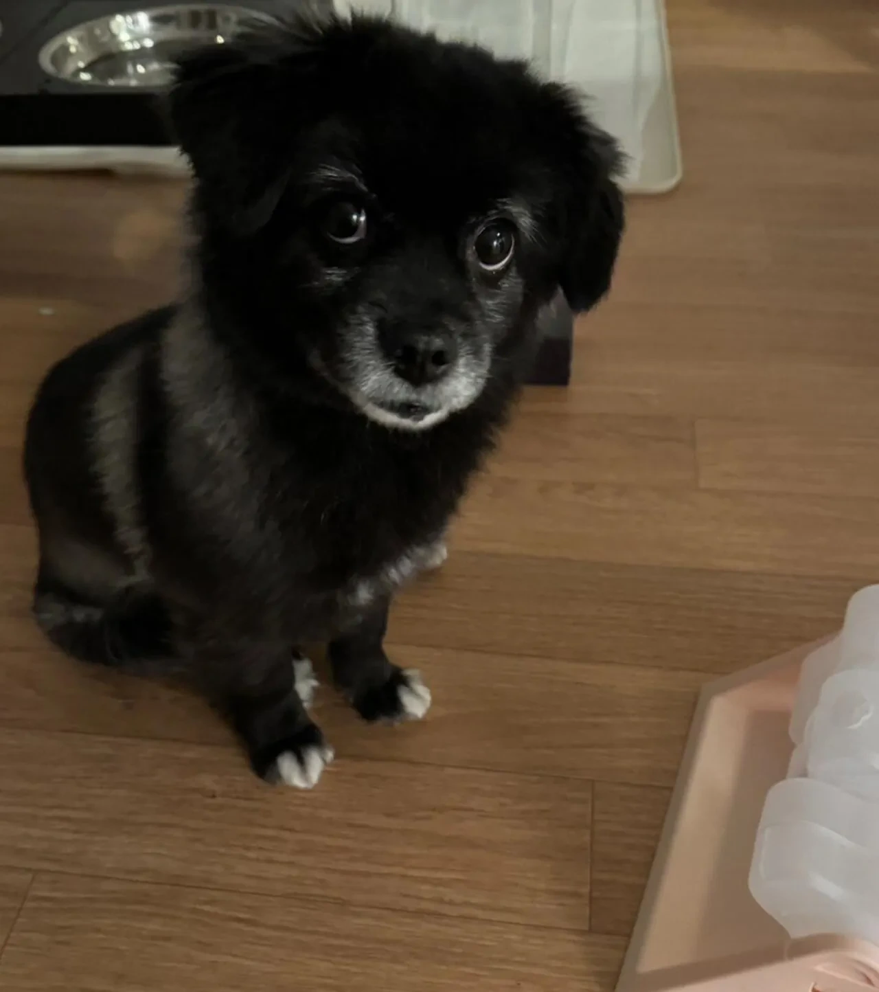 오늘도-다이소에-3천원-기부했다-5-이미지