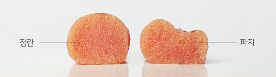 식비절약에-좋은-가성비-갑-식재료들-2탄-7-이미지