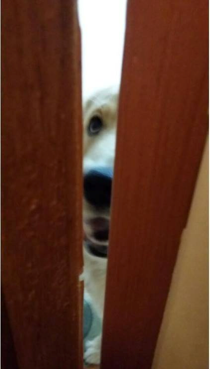 친구집에서-볼일보면-생기는-일-0-이미지