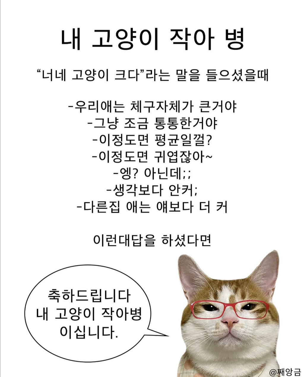 내-고양이-작아-병ㅋㅋㅋㅋㅋ-0-이미지