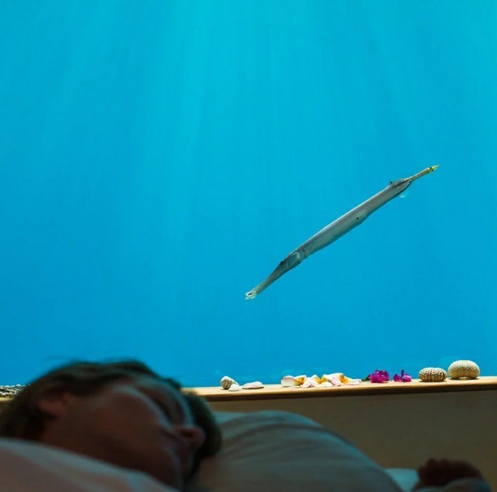 1박에-180만원-수중호텔-3-이미지