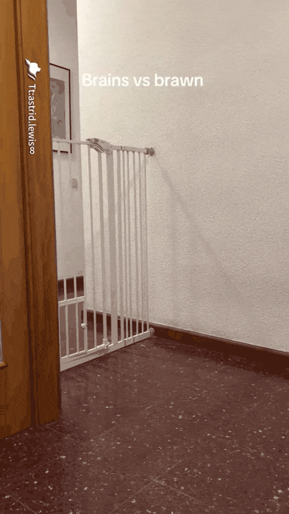 몸이-고생하는-타입-vs-머리-쓰는-타입-0-이미지