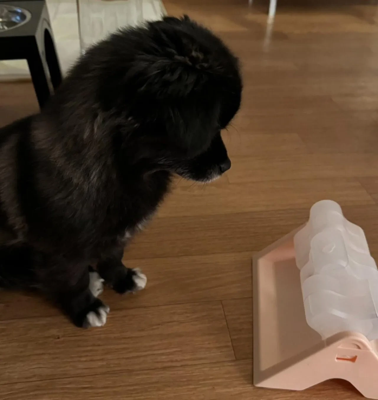 오늘도-다이소에-3천원-기부했다-4-이미지