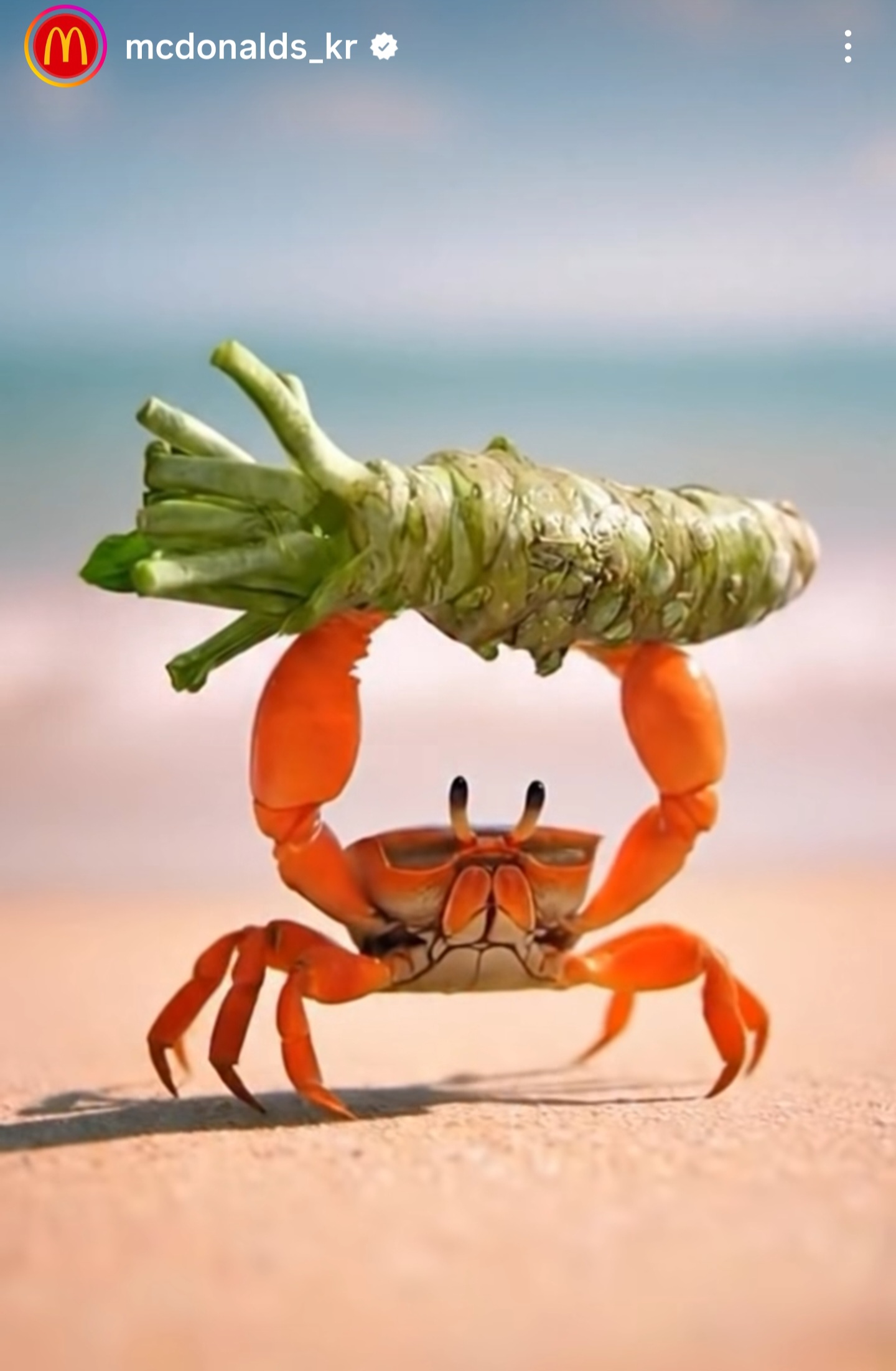 맥도날드-신상-버거-스포-0-이미지