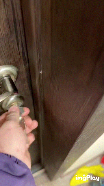 문-앞에-앉아있는-길고양이-0-이미지