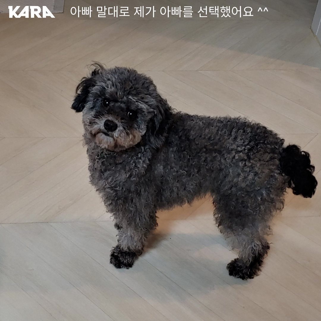 연천-번식장에서-구조된-강아지-입양한-개그맨-이창호-2-이미지