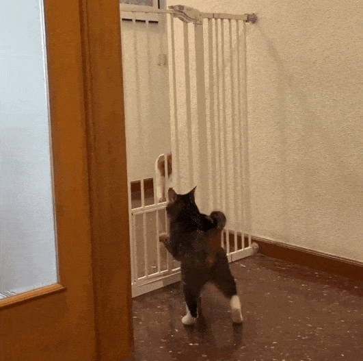 몸이-고생하는-타입-vs-머리-쓰는-타입-1-이미지