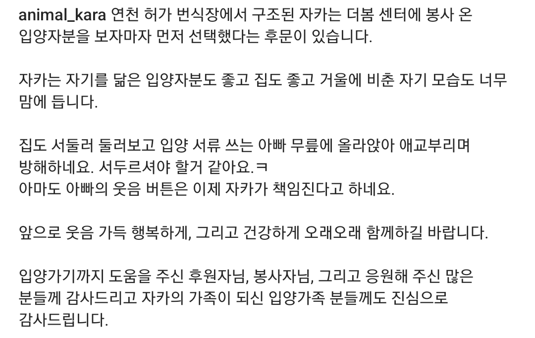 연천-번식장에서-구조된-강아지-입양한-개그맨-이창호-6-이미지
