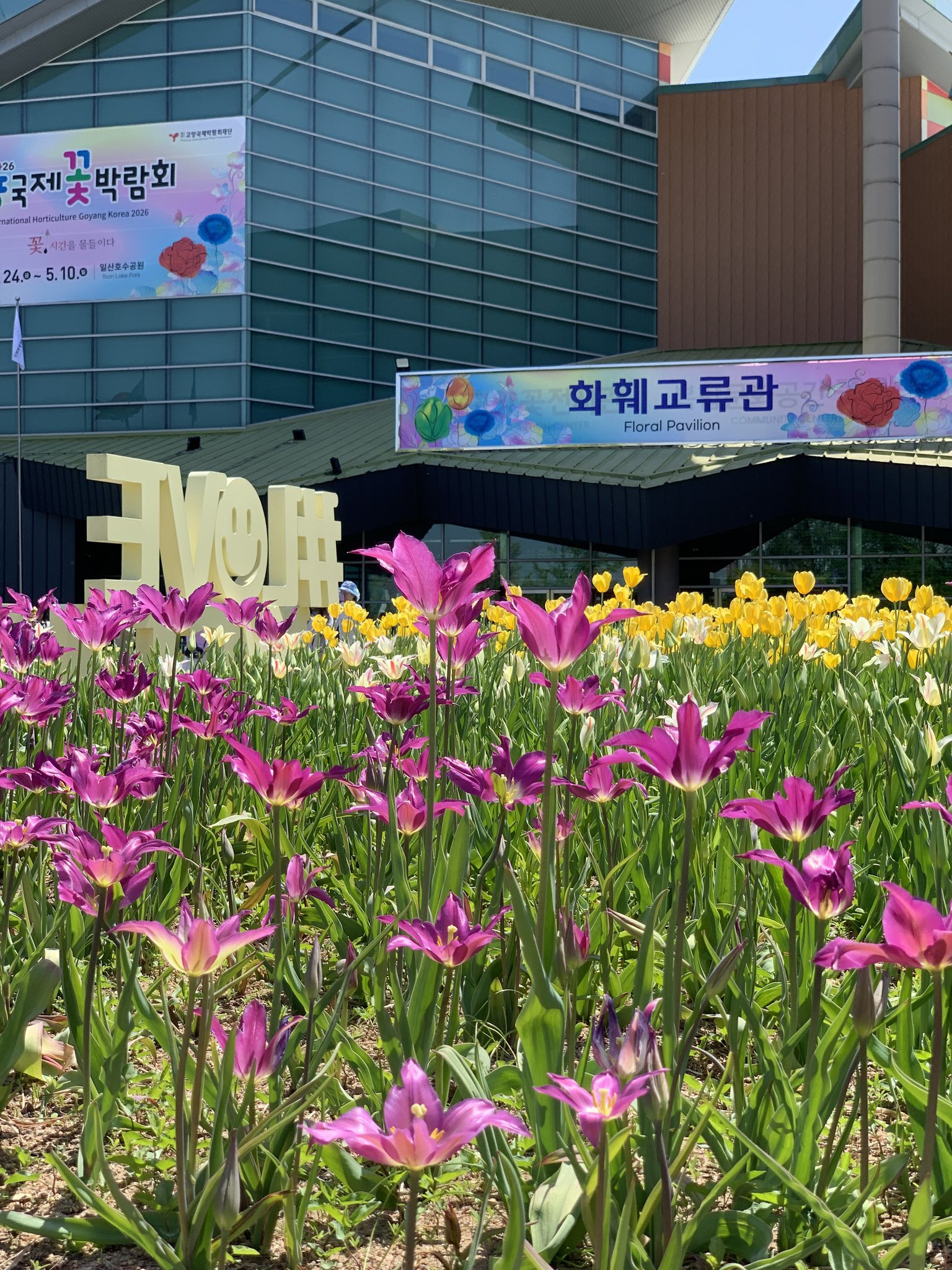 고양국제꽃박람회-오픈런-하고옴-‼️-5-이미지