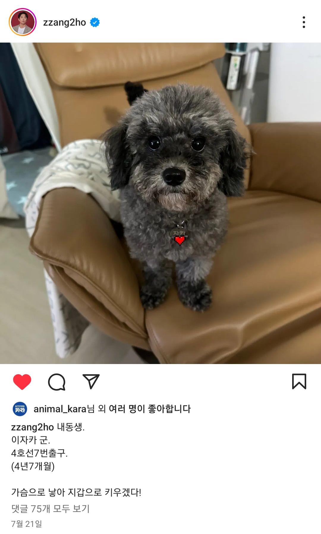 연천-번식장에서-구조된-강아지-입양한-개그맨-이창호-7-이미지