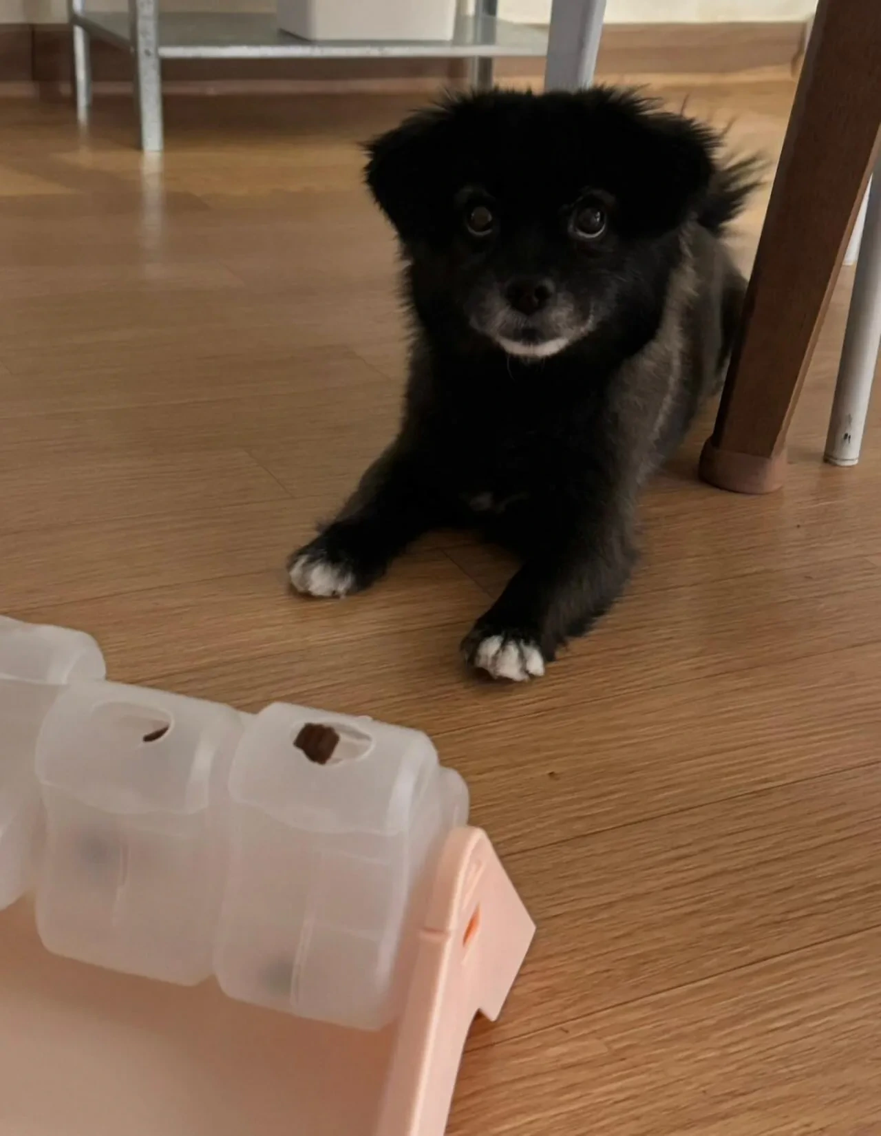 오늘도-다이소에-3천원-기부했다-2-이미지