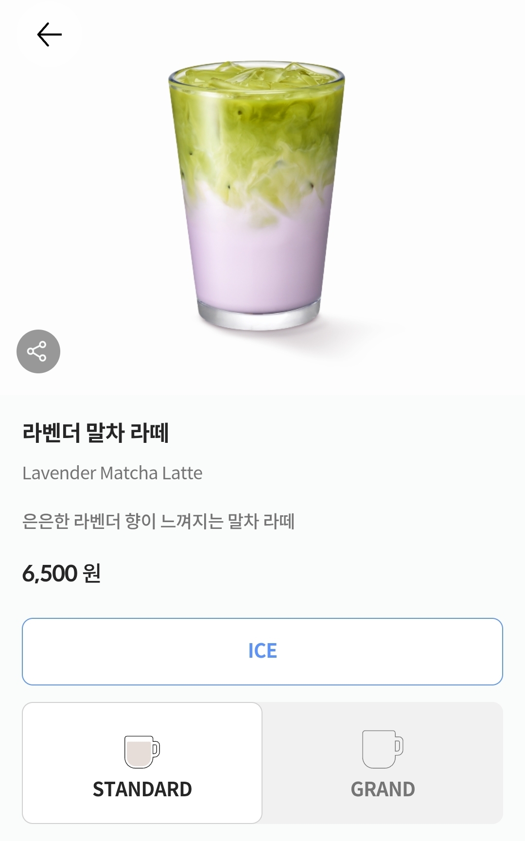 폴바셋-라벤더-시즌음료-출시-8-이미지