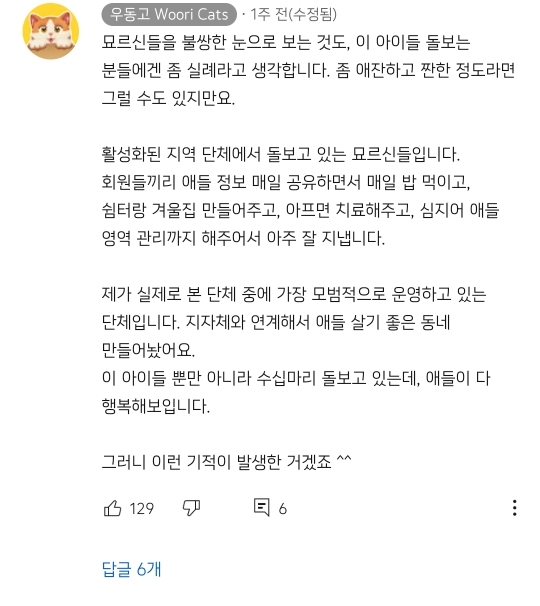 아깽이보다-100배는-만나기-어려운-묘르신들-25-이미지