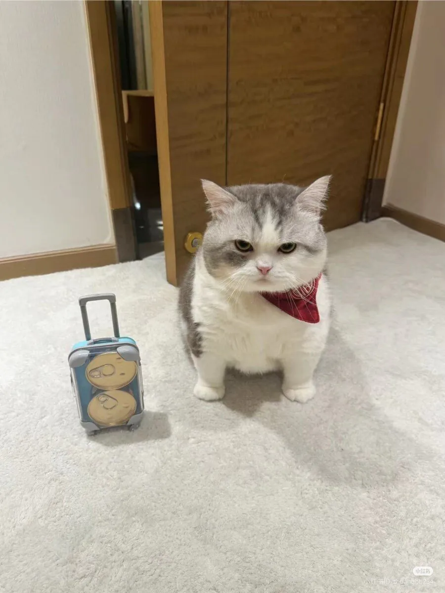 잘살아라-나는-간다-0-이미지