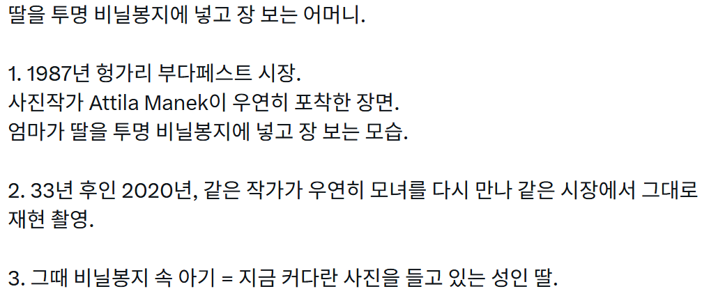 딸을-투명-비닐봉지에-넣고-장-보는-어머니-0-이미지