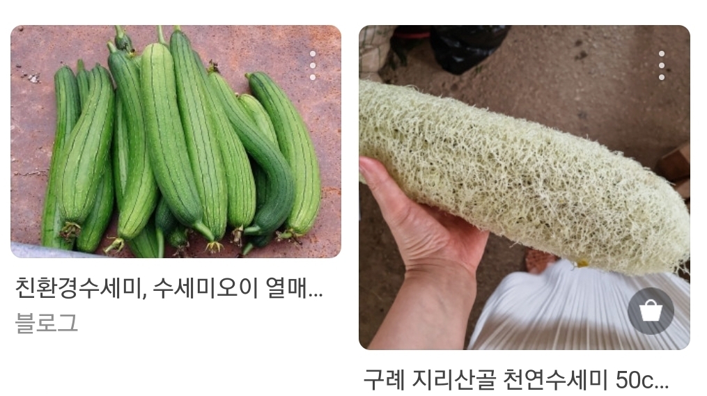 다양한-친환경-수세미들.jpg-3-이미지