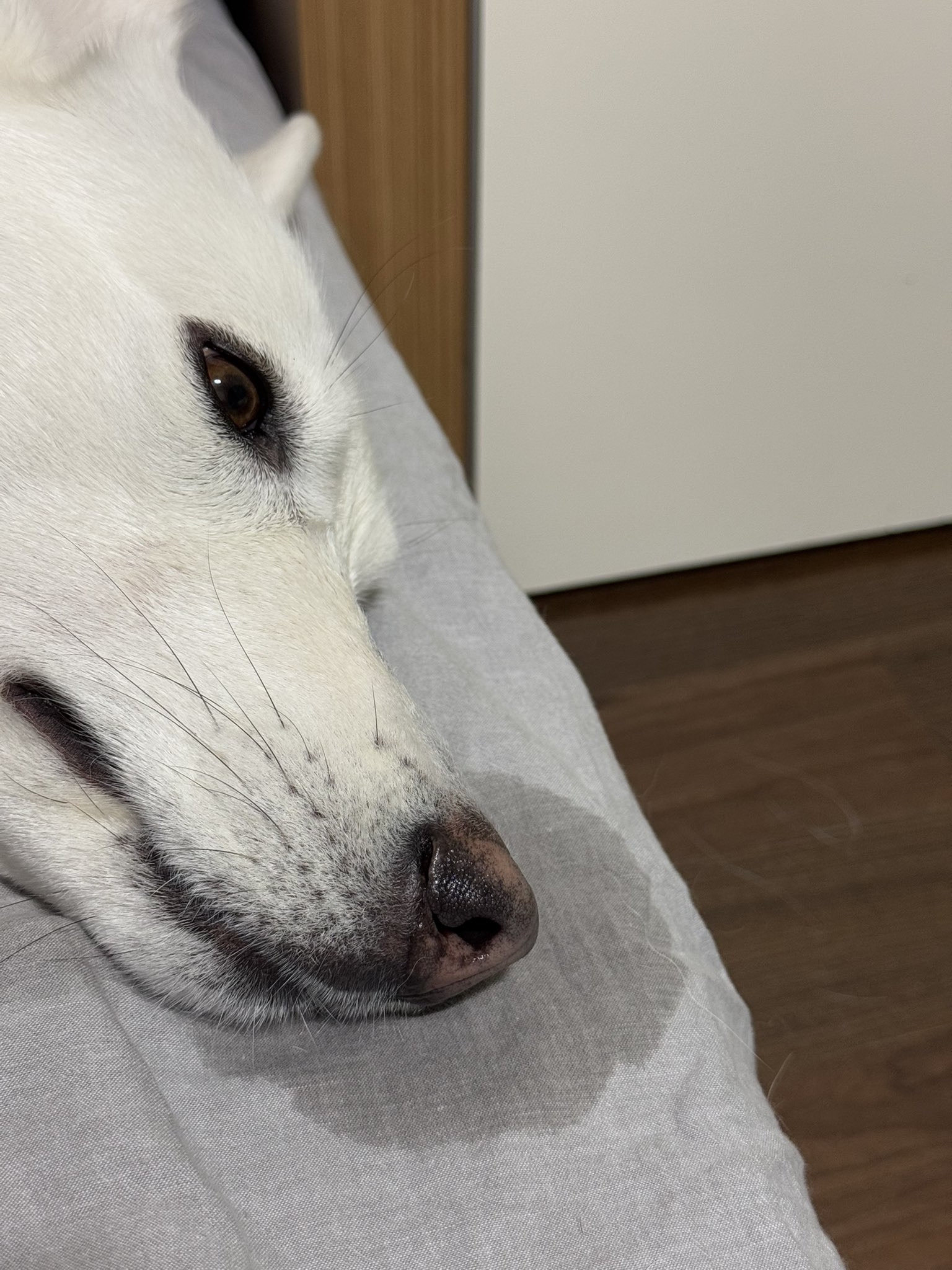 큰-코에는-큰-콧물이-따른다-2-이미지