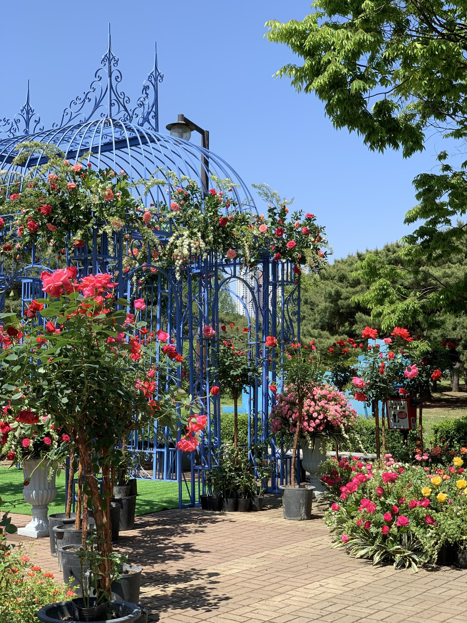 고양국제꽃박람회-오픈런-하고옴-‼️-2-이미지