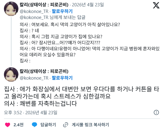 둘째-고양이를-들인-후-첫째가-계속-재채기를-심하게-해요-1-이미지